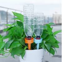 Automatic plant waterer