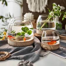 Glass plants
