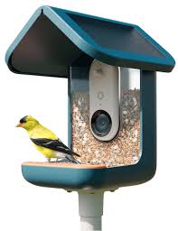 Camera bird feeder