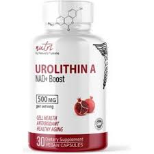 Liposomal Urolithin A Supplement
