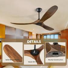 Ceiling fan