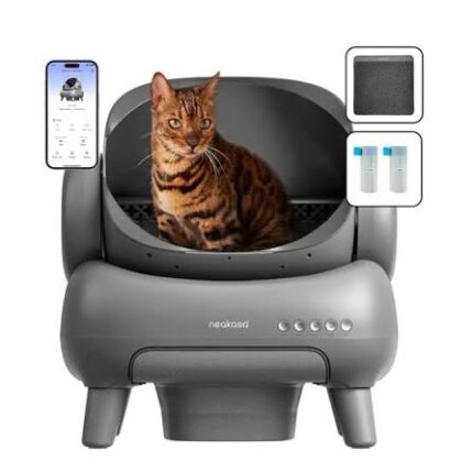 Cat litter box