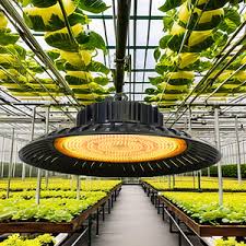 Hanging Grow Light