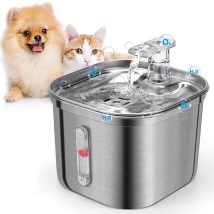 Dog water fountain