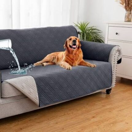 Couch cover