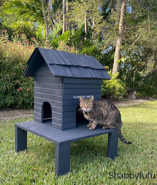 images - 2025-10-24T012507.550