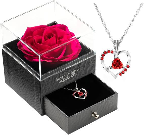 images - 2025-11-01T104818.342