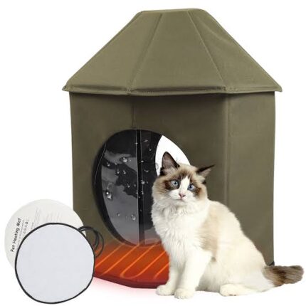 Heated cat house for outdoor
