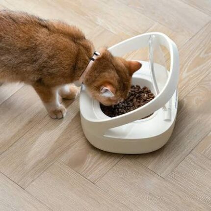 Automatic cat feeder