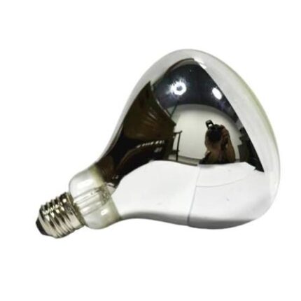 Heat lamp for chicken