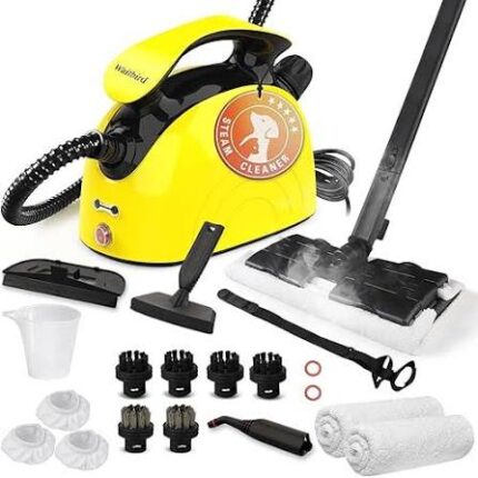 Heavy-Duty Steam Cleaner