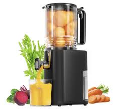 Cold press juicer