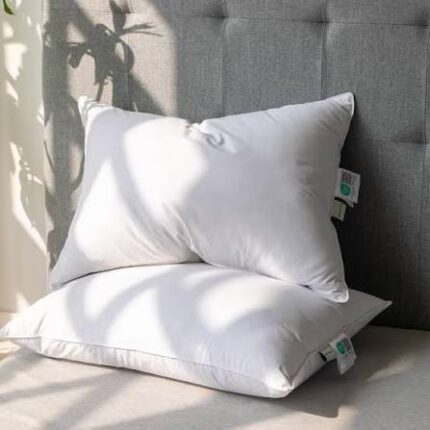 Feathers down pillow