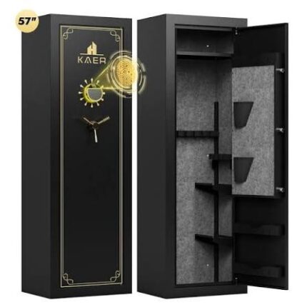 Biometric gun safe