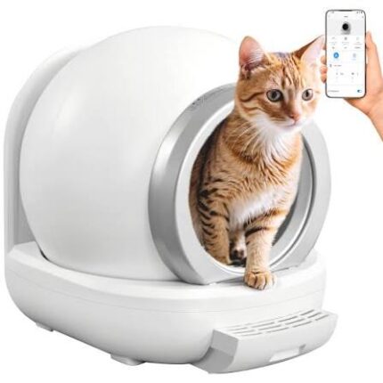 Cat litter box