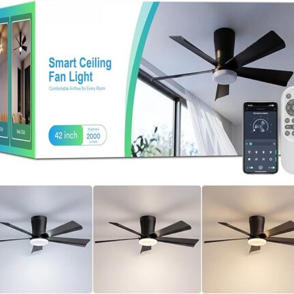 42 Inch Ceiling Fans with Lights, App and Remote Control, Black | Low Profile Flush Mount, 2000Lm 3CCT Dimmable LED, 6-Speed Quiet Reversible DC Motor, for Living Room Bedroom Kitchen