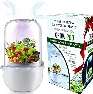 Smart Venus Fly Trap Terrarium Pot with Timer&Fan, Mini Plant Terrarium Kit